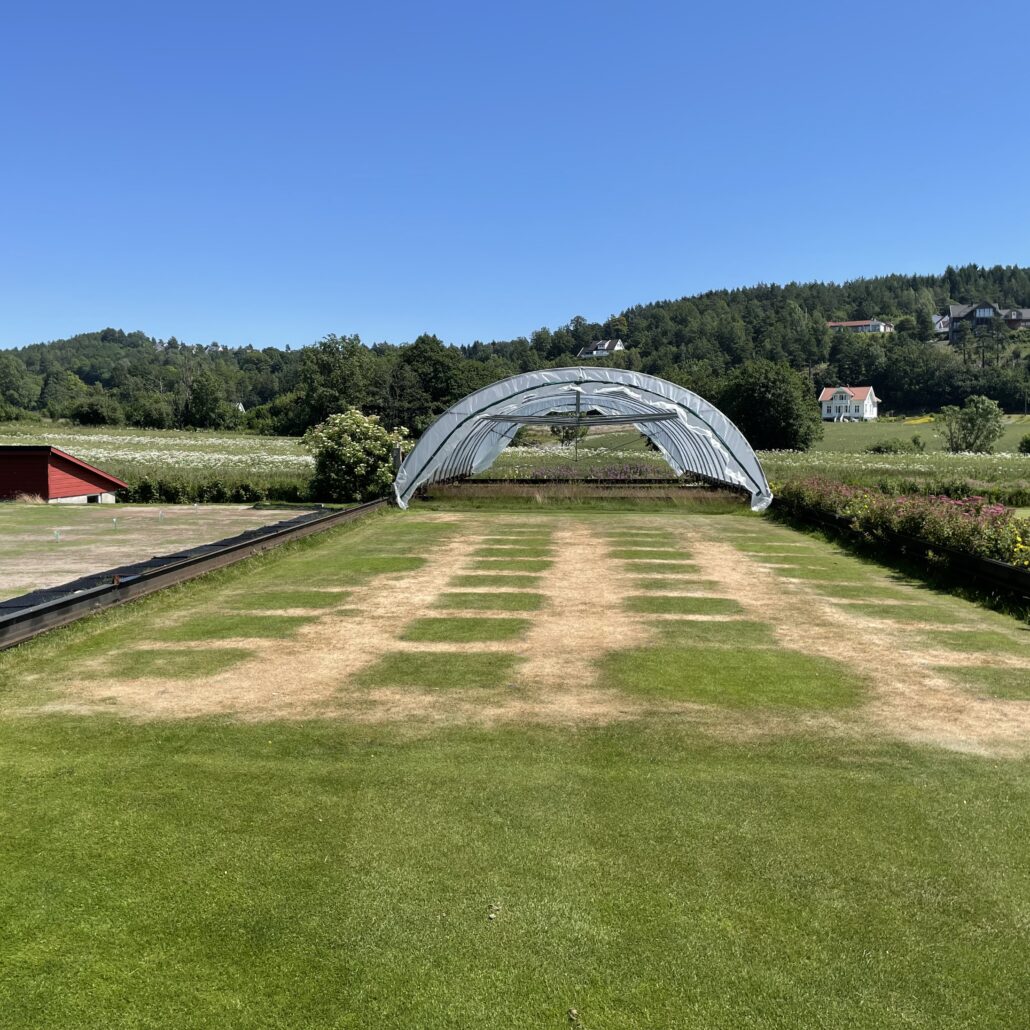Independent FAIR WATER II Trial Highlights Fairway Drought Performance