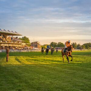 Keeping Warwick Racecourse race-ready with Mansfield Sand