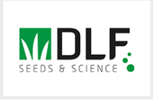 dlf